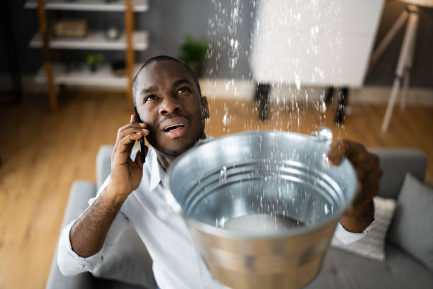 Best 24-hour water damage restoration  in Lynchburg, VA