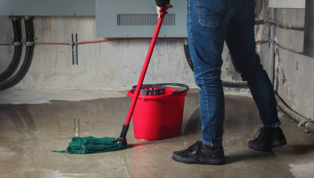 Best Water damage cleanup near me  in Lynchburg, VA