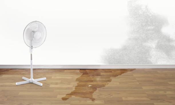 Best Water damage restoration specialists  in Lynchburg, VA