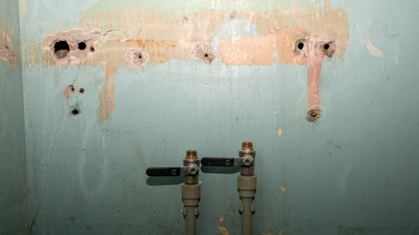 Best Water damage restoration insurance claims  in Lynchburg, VA