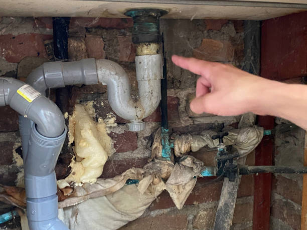 Best Water damage restoration company  in Lynchburg, VA